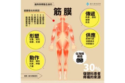 筋膜